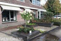 Onderhoudsarme voortuin