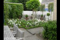 Groene tuin met bloemen, bolcatalpa en leibomen