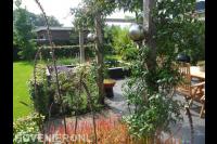 Tuin met gazon, vijver en terras met pergola en klimplanten