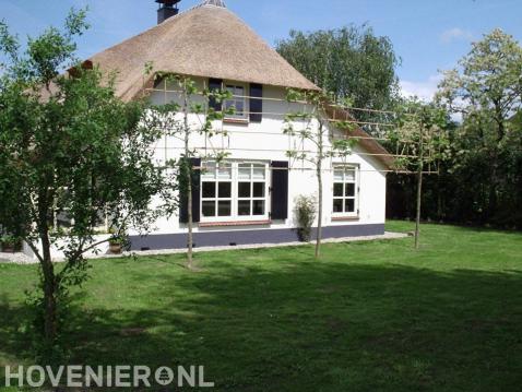 Boerderijtuin met gazon en leibomen