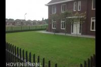 Voortuin met nieuw ingezaaid gazon en leibomen