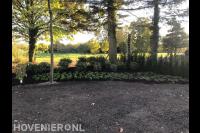 Beplanting aanbrengen in border 1