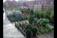 Nieuwe beplanting voor in kleine tuin