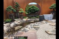 Oosterse tuin met waterloop, stapstenen en bonsai bomen 1