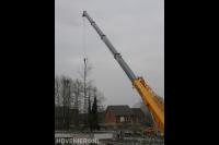 Boom verwijderen met kraan 1