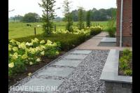 Tuin met pluimhortensia's en tuinpad van stapstenen in grof split