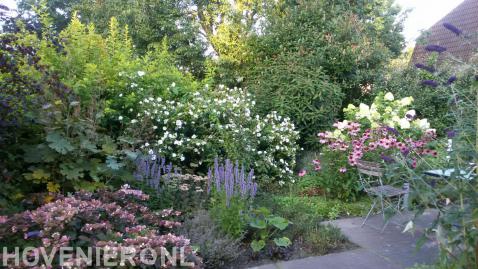 Kleurrijke beplanting bij  terras