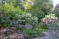 Kleurrijke beplanting bij  terras