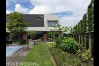 Moderne tuin met zwembad en leibomen