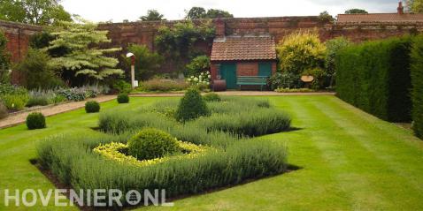 Groene open tuin met groot gazon