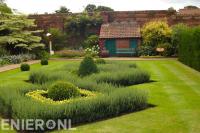 Groene open tuin met groot gazon