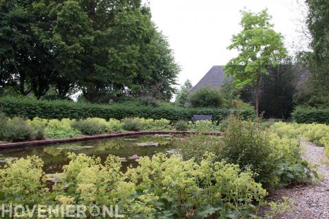 Grote vijver omgeven door veel groen