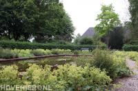 Grote vijver omgeven door veel groen