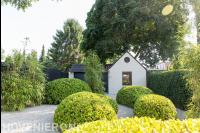 Tuin met heesters in bolvorm en looppaden van grind 2