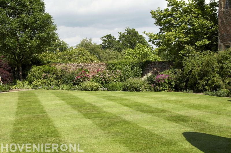 Wiebe Baas Boomverzorging