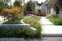 Moderne tuin met vetplantjes, siergras en split 2