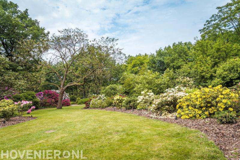 Broos Groenvoorziening vof