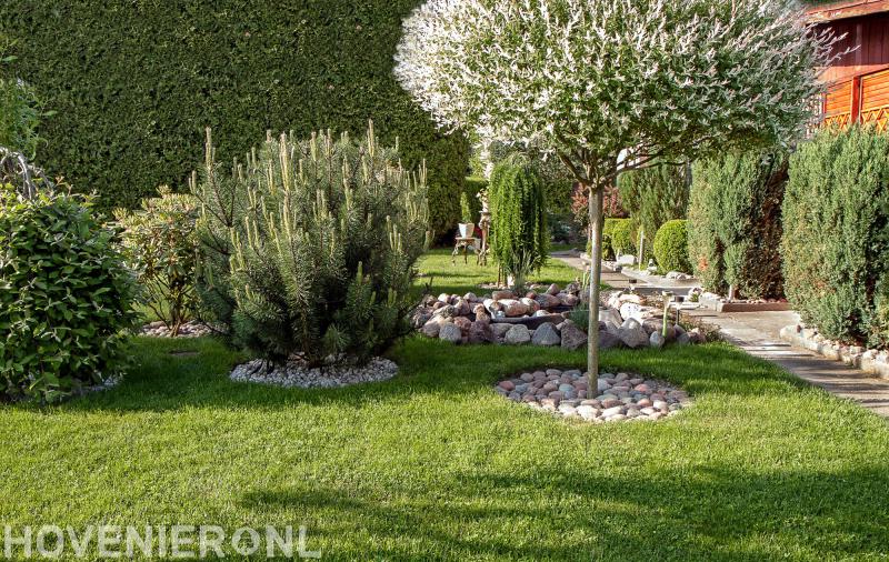 Plant Plan Hoveniers-Driebruggen