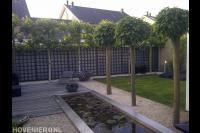 Tuin met vijver, vlonder, leibomen en bolcatalpa's