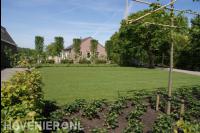 Ruime tuin met groot gazon, leibomen en nieuwe beplanting