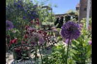 Arjan Bakker - Tuinen