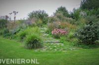 Ecologische tuin