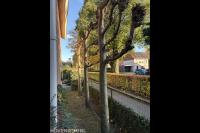 Groenonderhoud Schaper