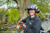 Snoeien m.b.v. spinhoogwerker