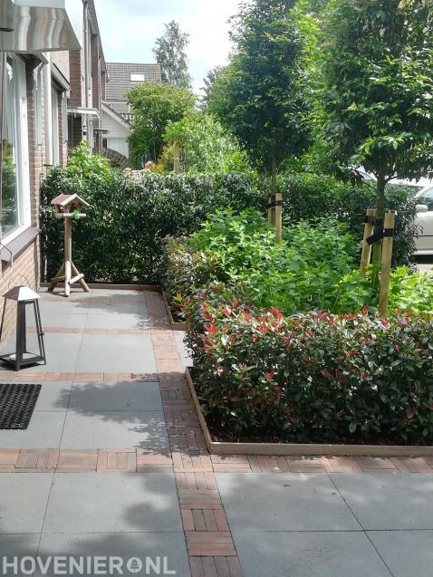 Voortuin met sierbestrating en borders met haagplanten en hortensia's