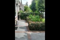 Voortuin met sierbestrating en borders met haagplanten en hortensia's