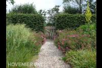 Natuurlijke tuin met pad van grind en kleurrijke planten