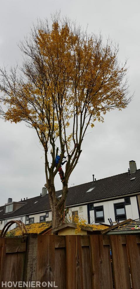 Stormschade herstellen