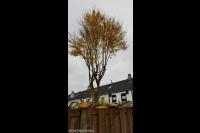 Stormschade herstellen