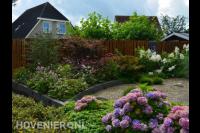 Kleurrijke tuin met witte en paarse hortensia's