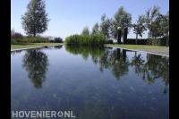 Grote heldere zwemvijver