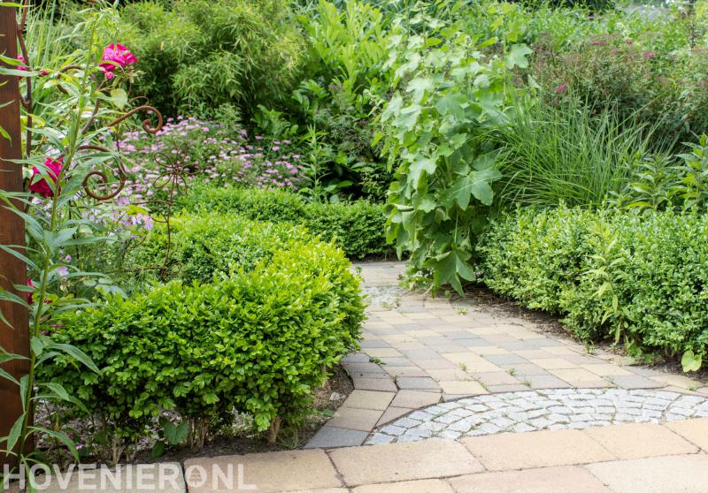 Theunissen Tuinplanten Tuinaanleg