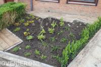 Aanleg groene voortuin