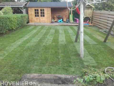 Gazon aanleggen met graszoden