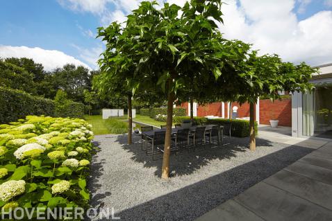 strakke tuin met met dakbomen terras en hortensia tuinplanten-florera