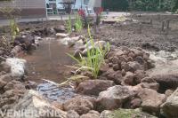 Vijver met rotsblokken