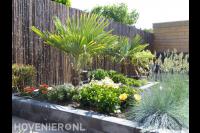 Palmbomen in plantenbakken van stapelblokken