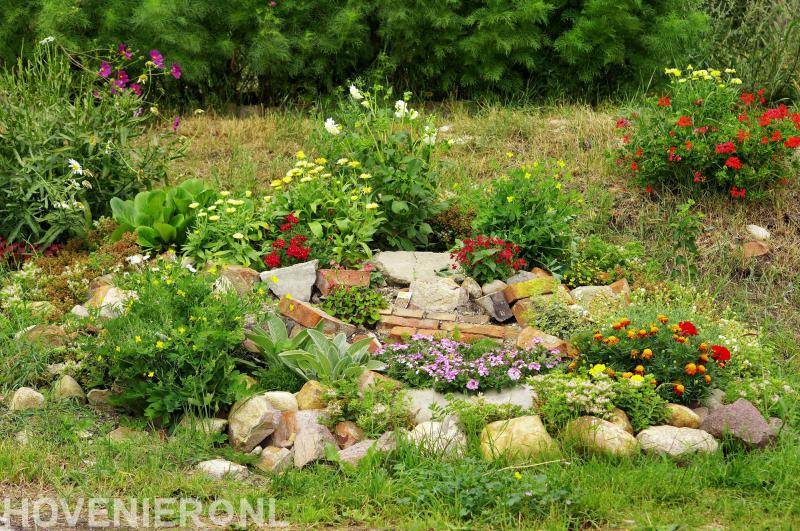 Hoveniersbedrijf van Zwieten