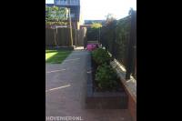 Achtertuin met bestrating, plantenbakken, kunstgras en leibomen