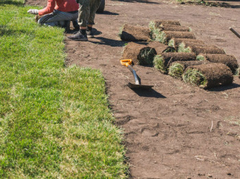 Voorbereiding op een baan als hovenier: opleiding en cv