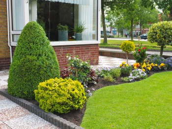 Goedkoop een tuin aanleggen