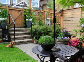 Kleine tuin
