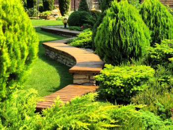 Tuintrends voor 2026: van natuurlijke borders tot onderhoudsarme tuinen