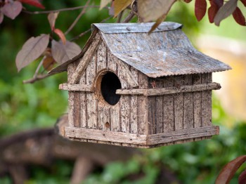 Vogelhuisje maken