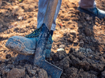 Werkkleding voor hoveniers: zo kiest u de beste uitrusting voor elke werkdag
