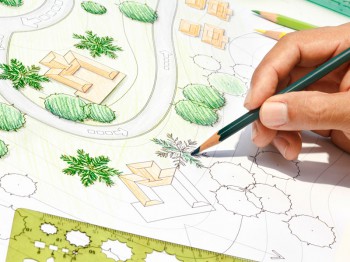 Beplantingsplan maken